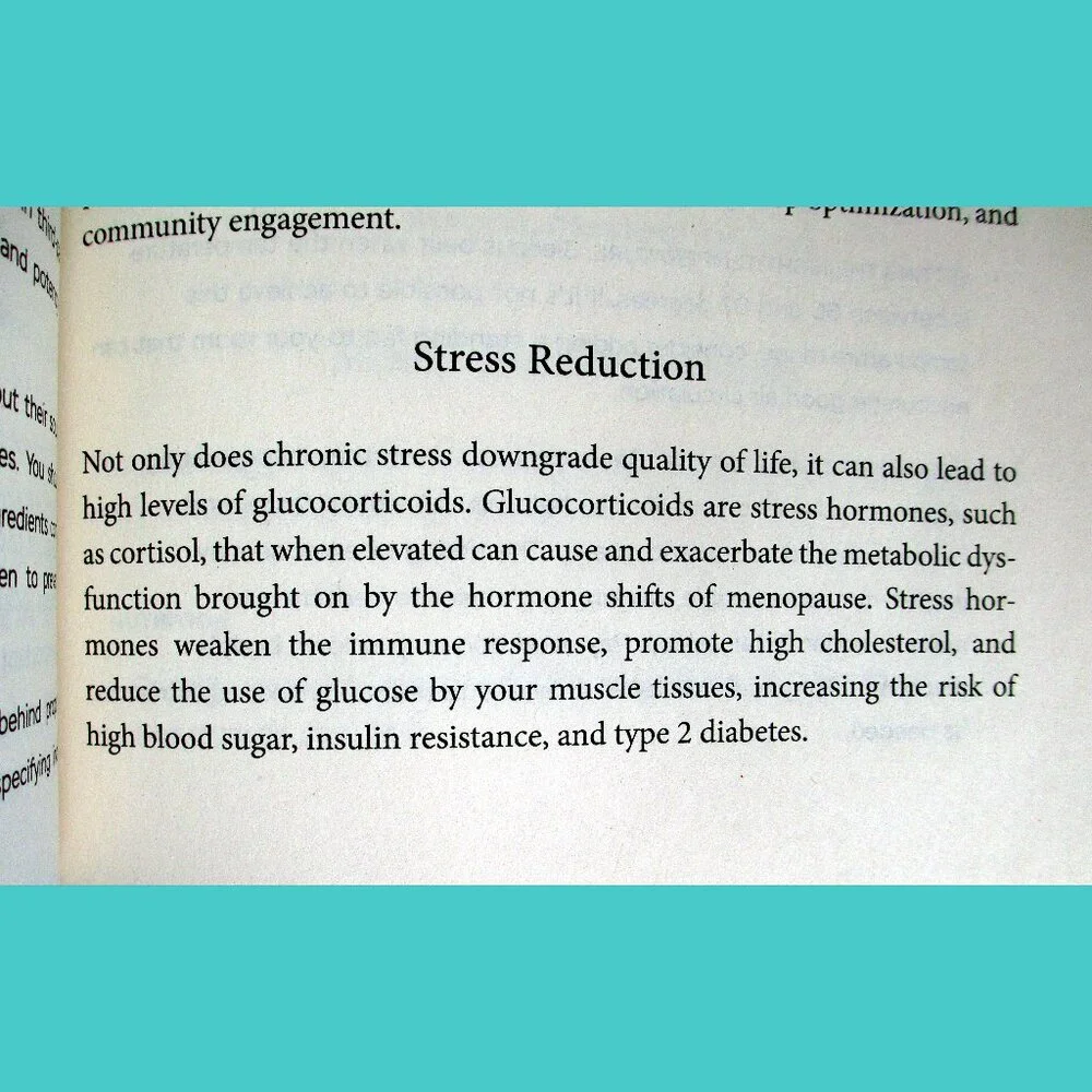 The New Menopause: Navigating Your Hormonal Changes with Purpose, Power & Facts - Picture 10 of 16